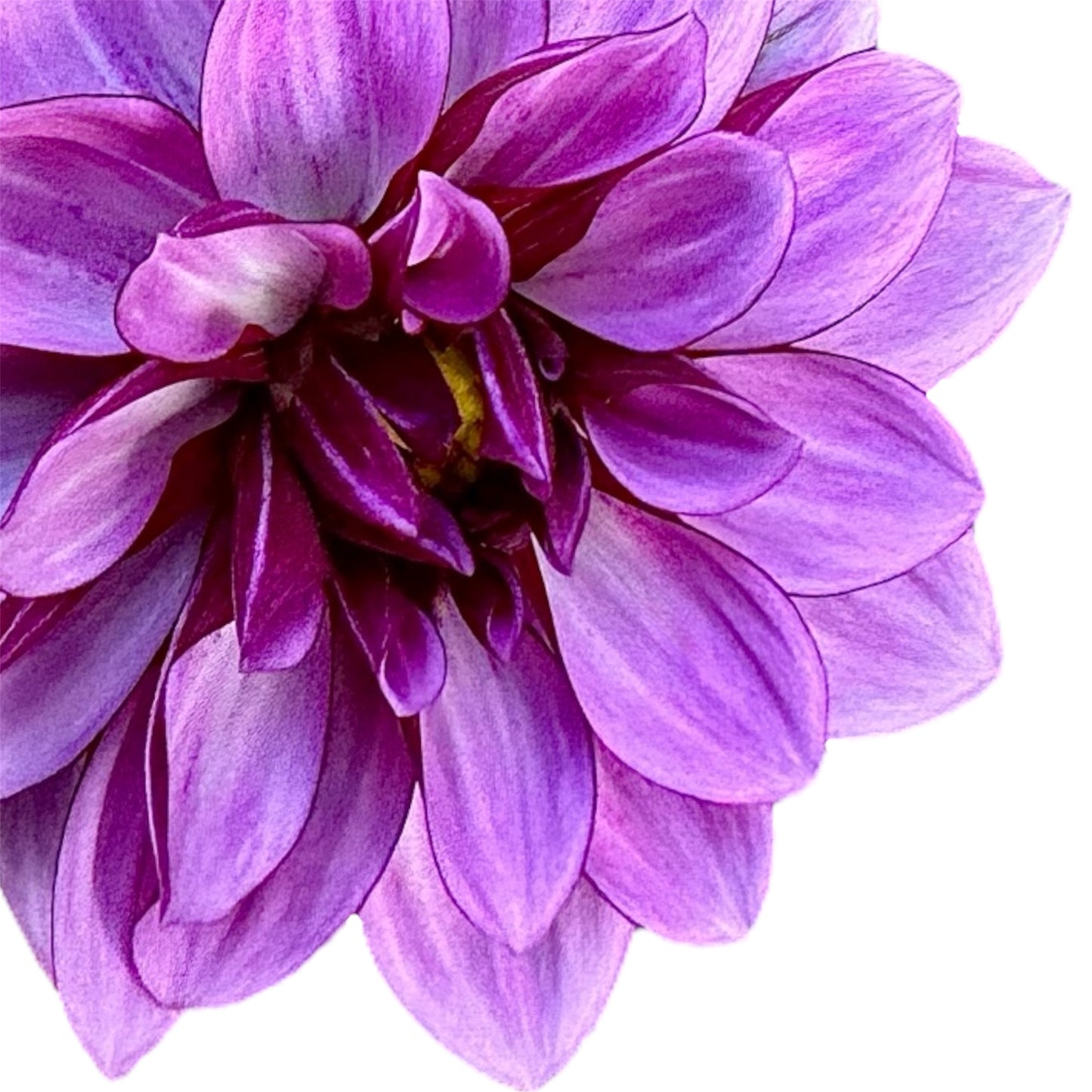 Crème de Cassis