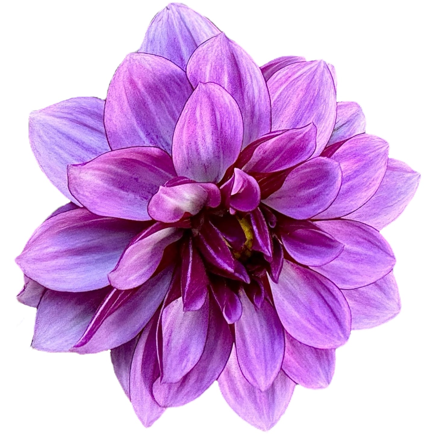 Crème de Cassis