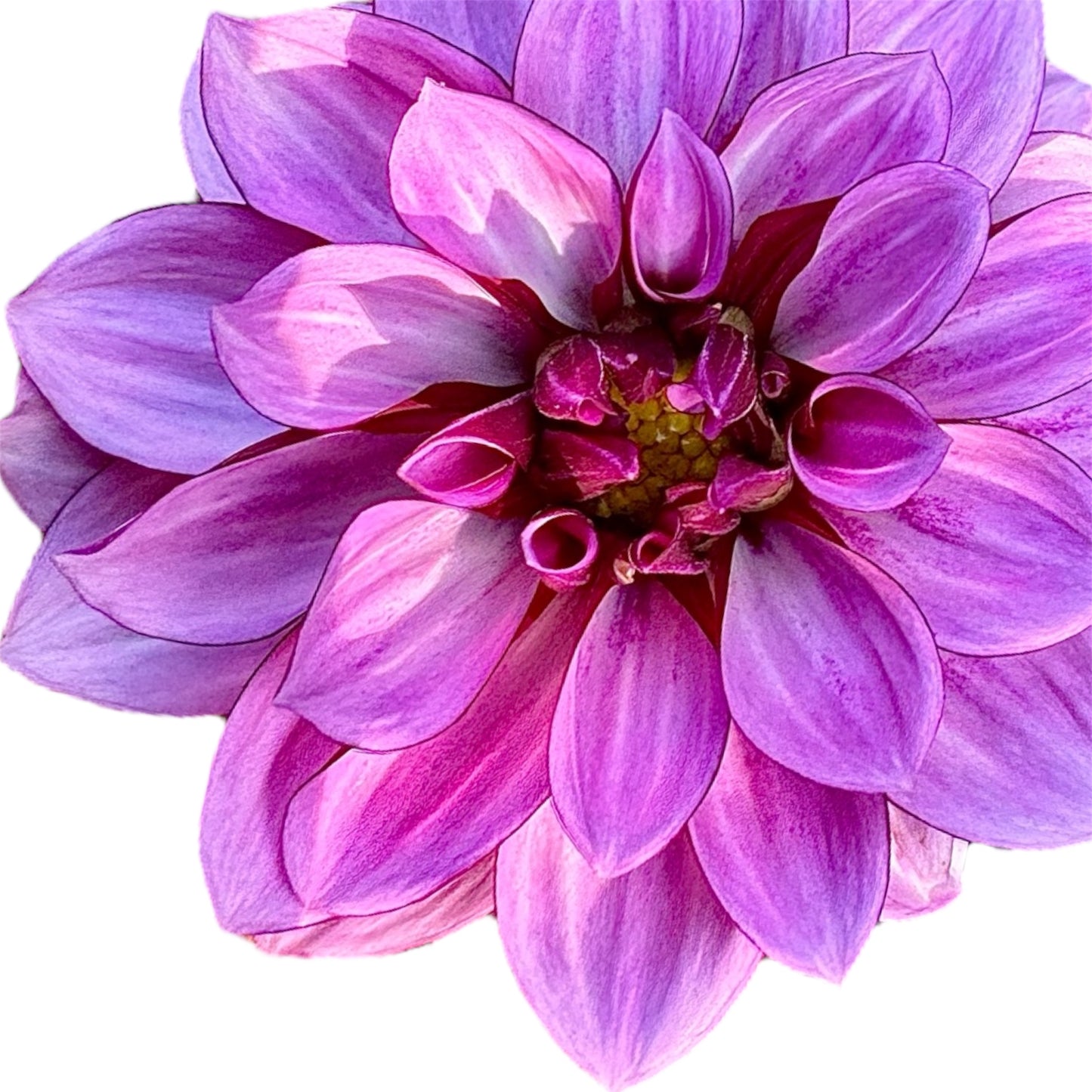 Crème de Cassis