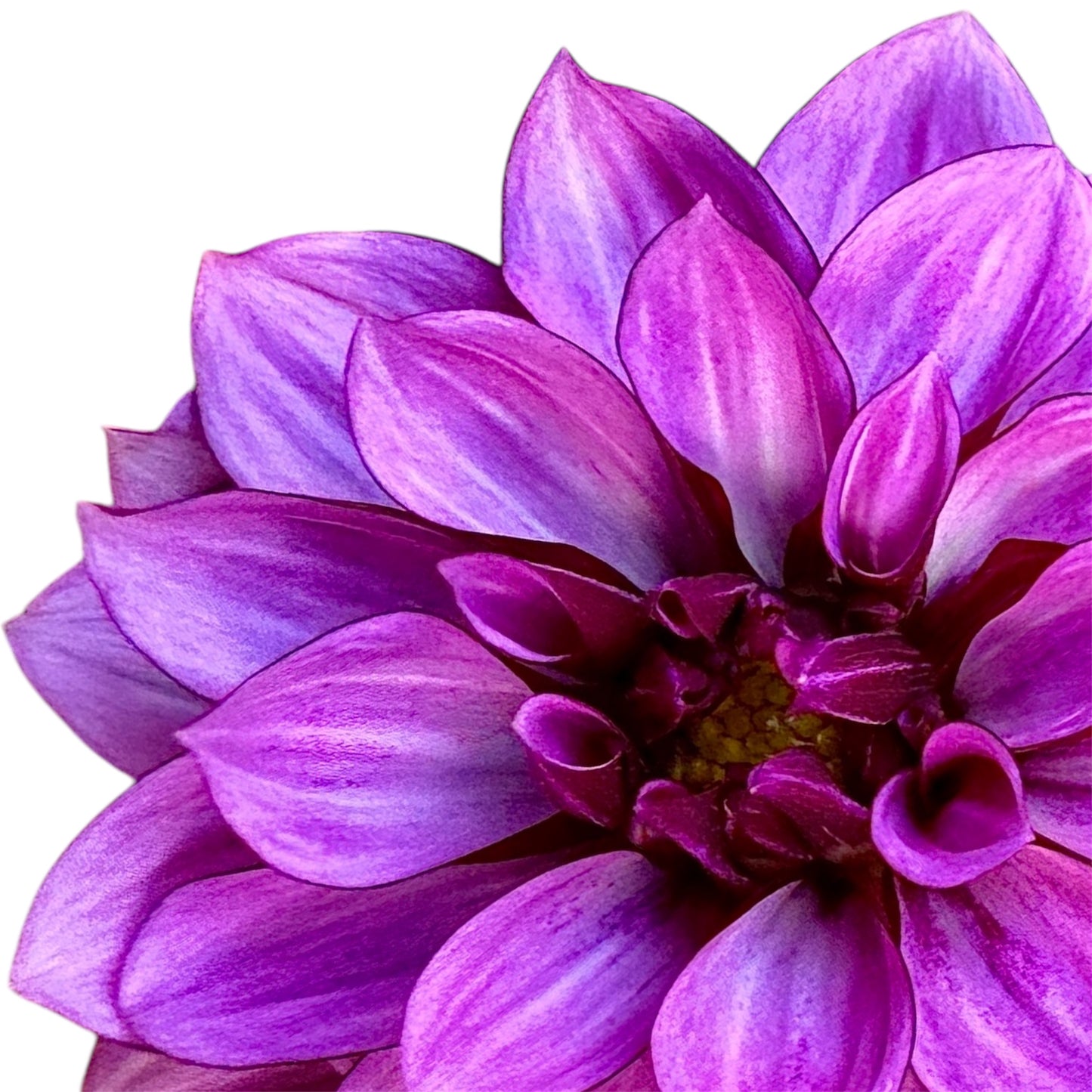 Crème de Cassis