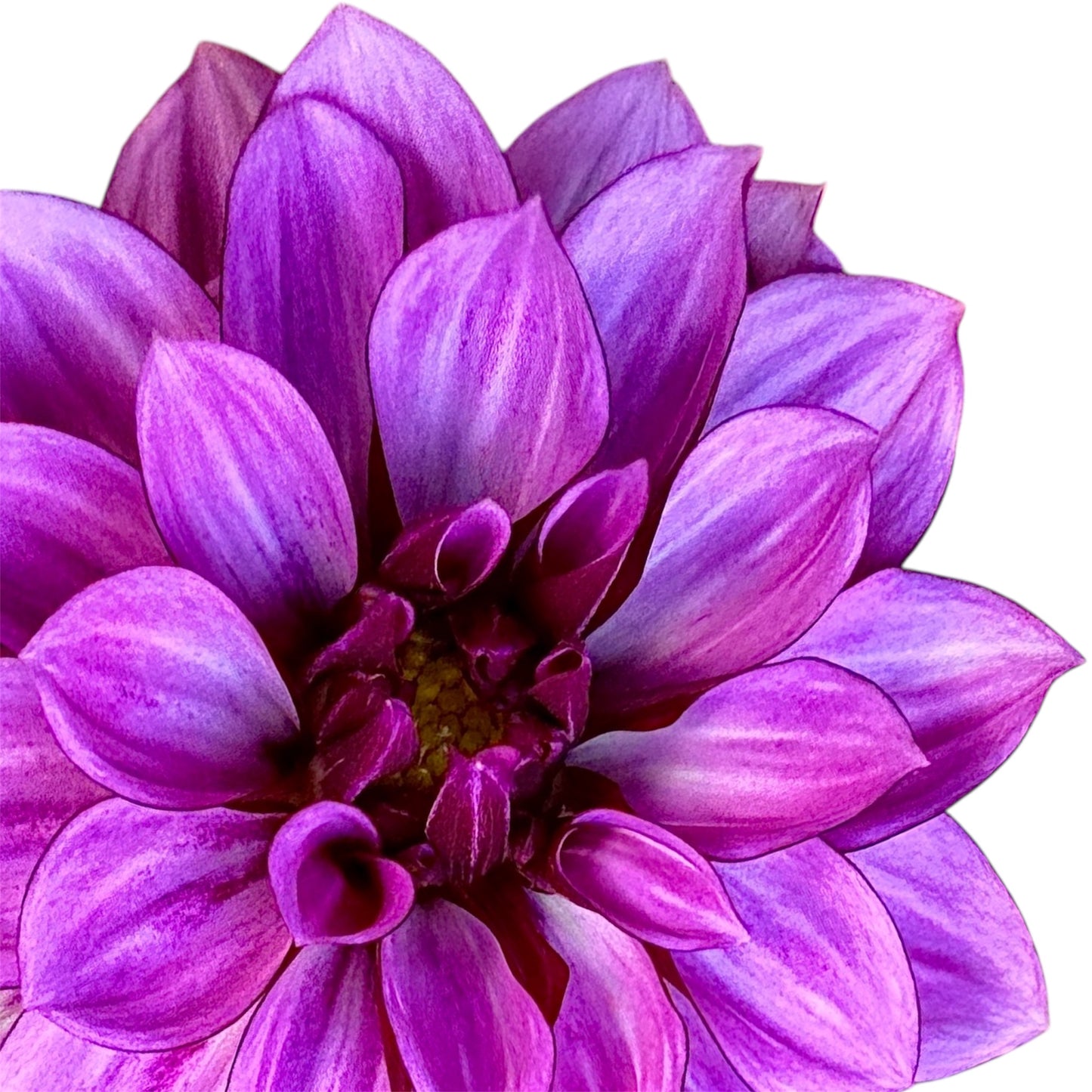 Crème de Cassis