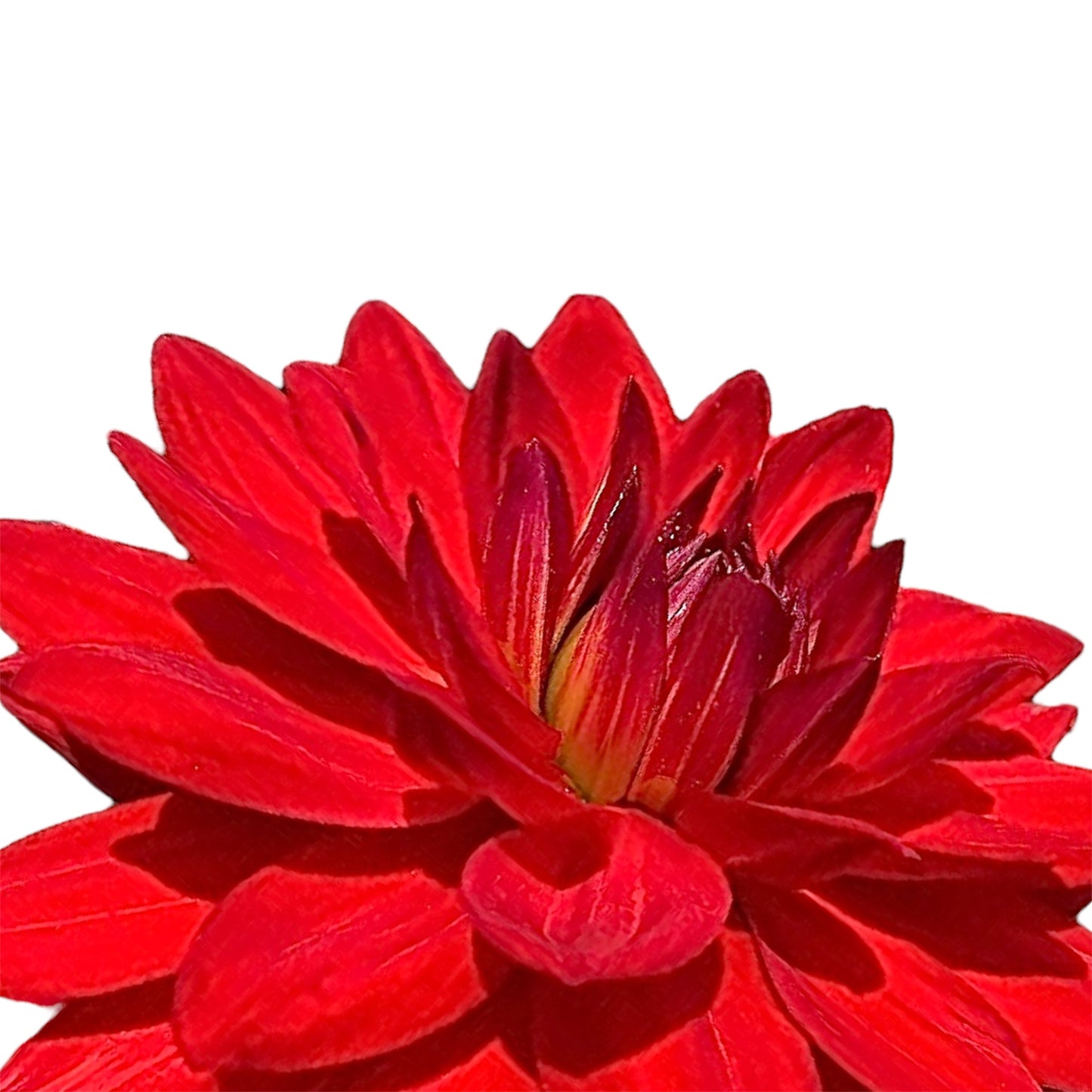 Taratahi Ruby