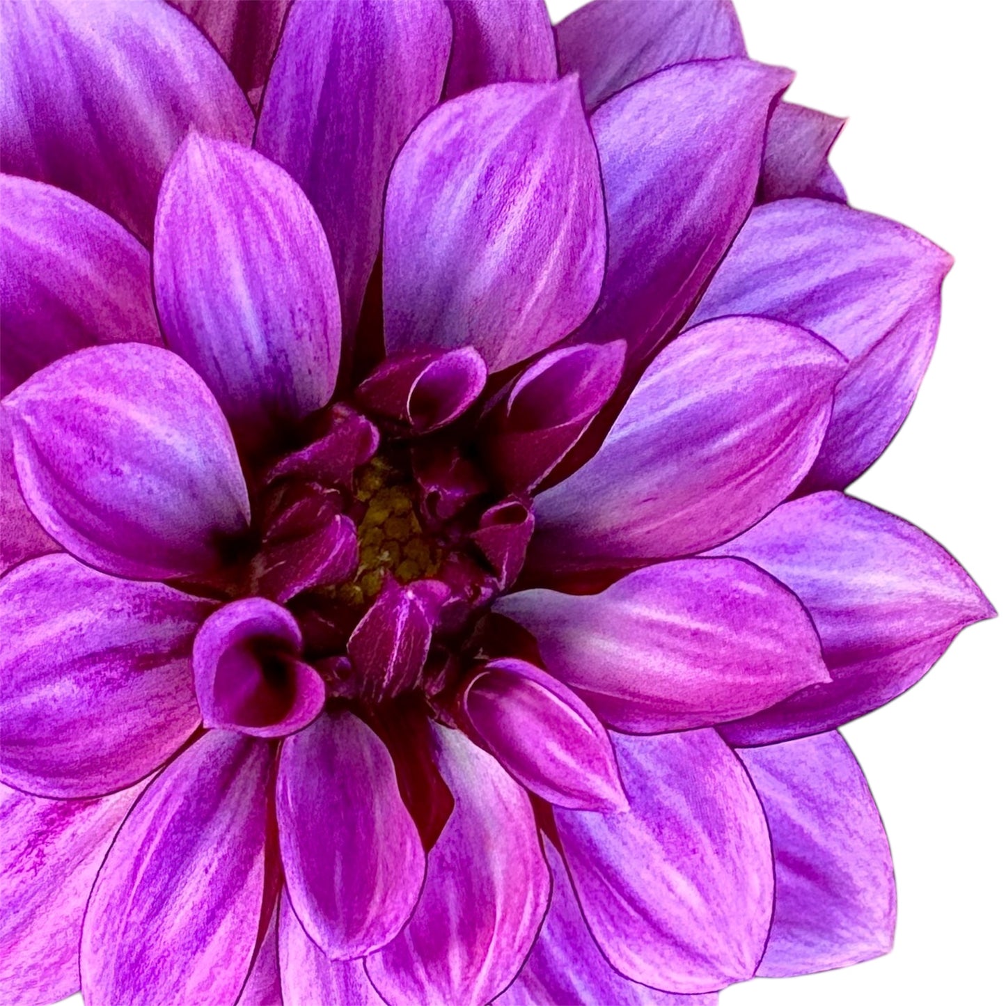 Crème de Cassis