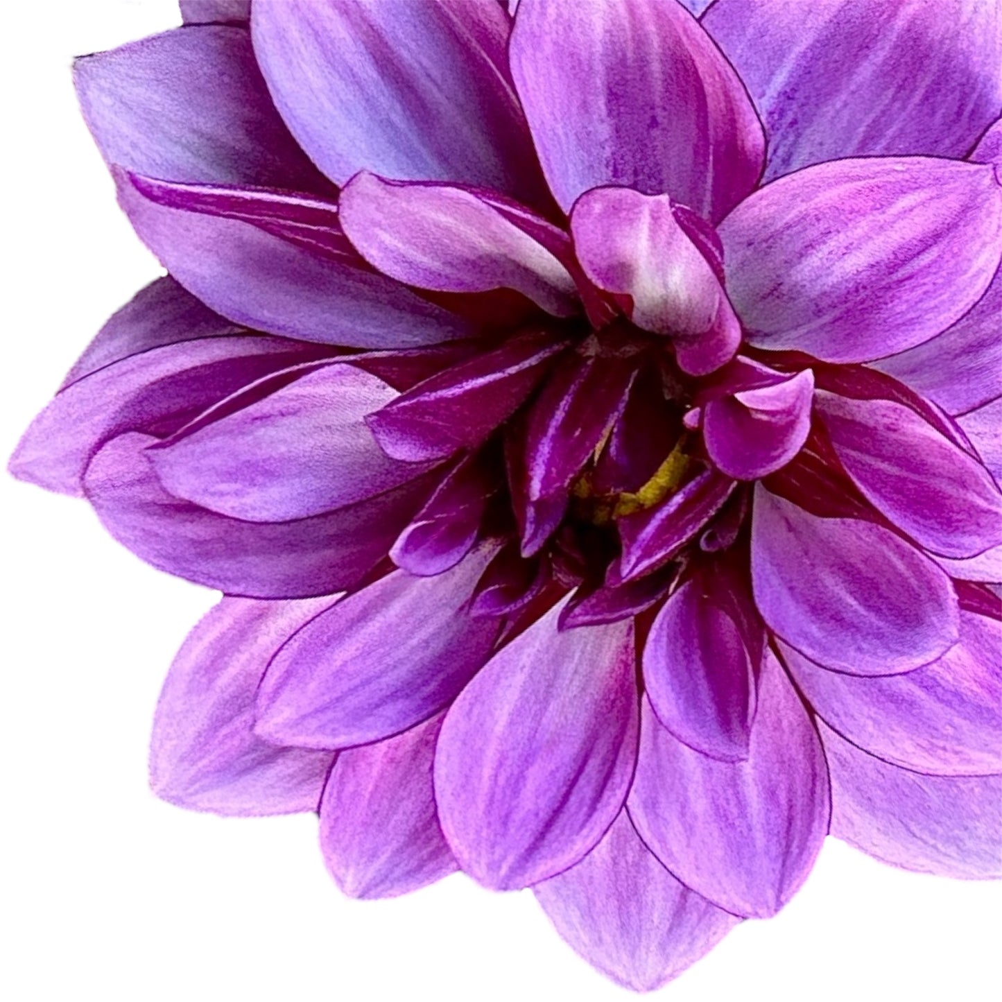 Crème de Cassis