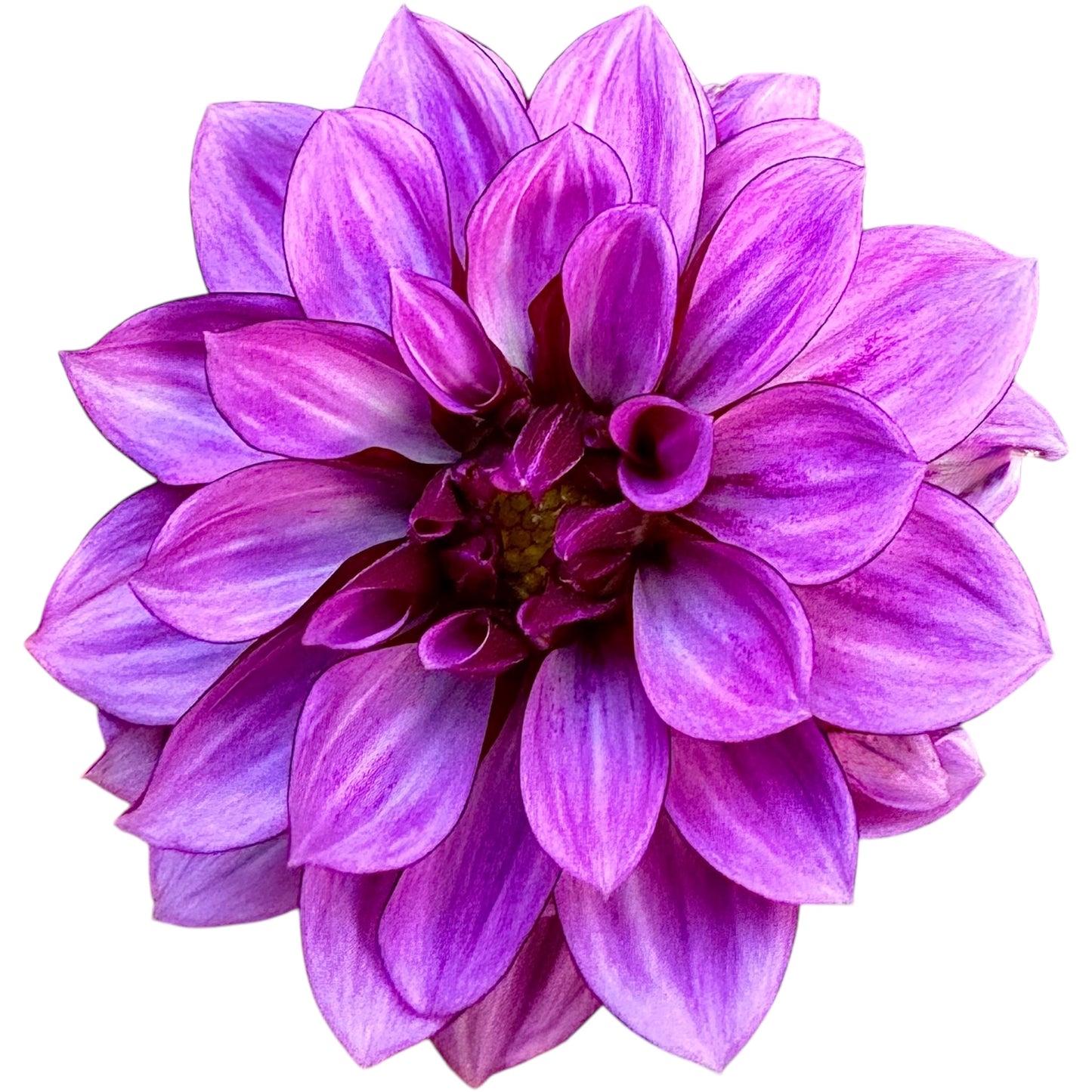 Crème de Cassis