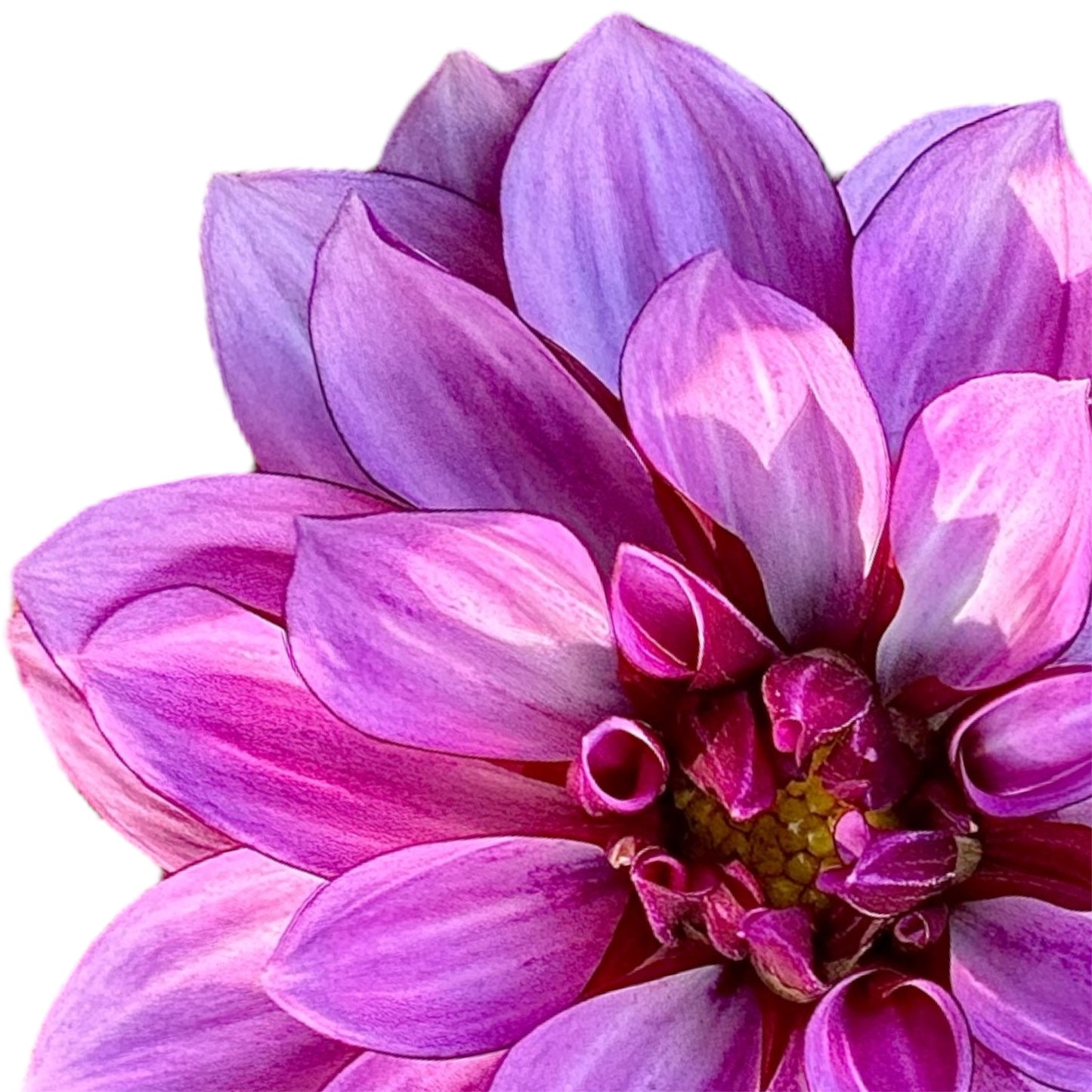 Crème de Cassis