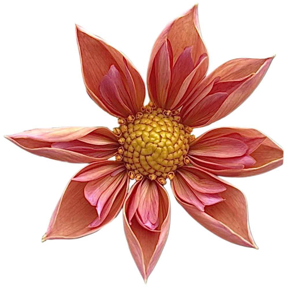 Venus
