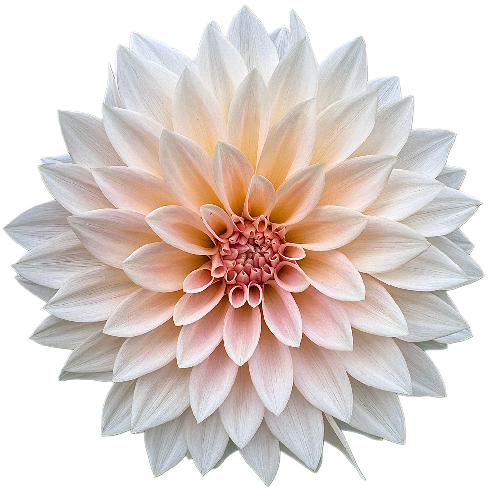 scrolling contnet image