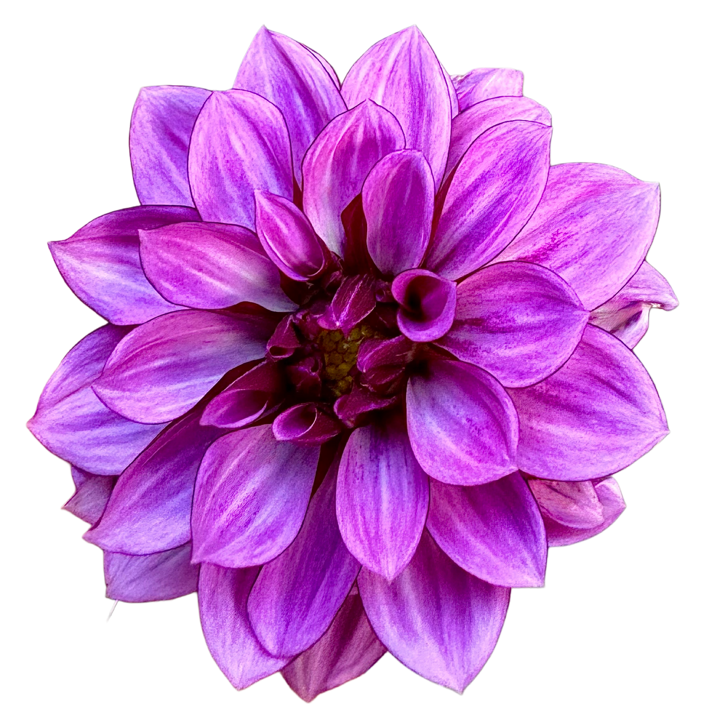 Crème de Cassis