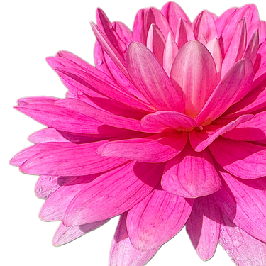Hollyhill Pink Parfait