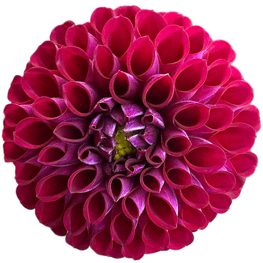 Ivanetti