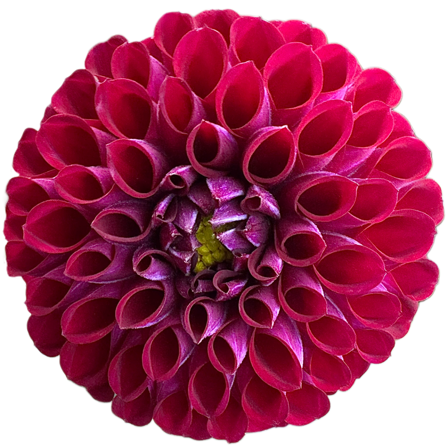 Ivanetti
