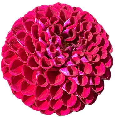 Ivanetti