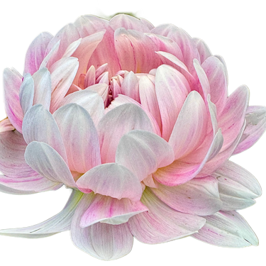 Kelgai Ann