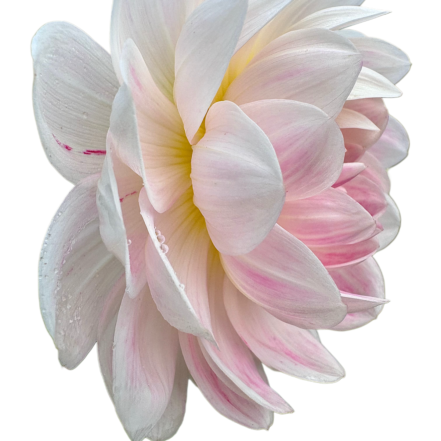 Kelgai Ann