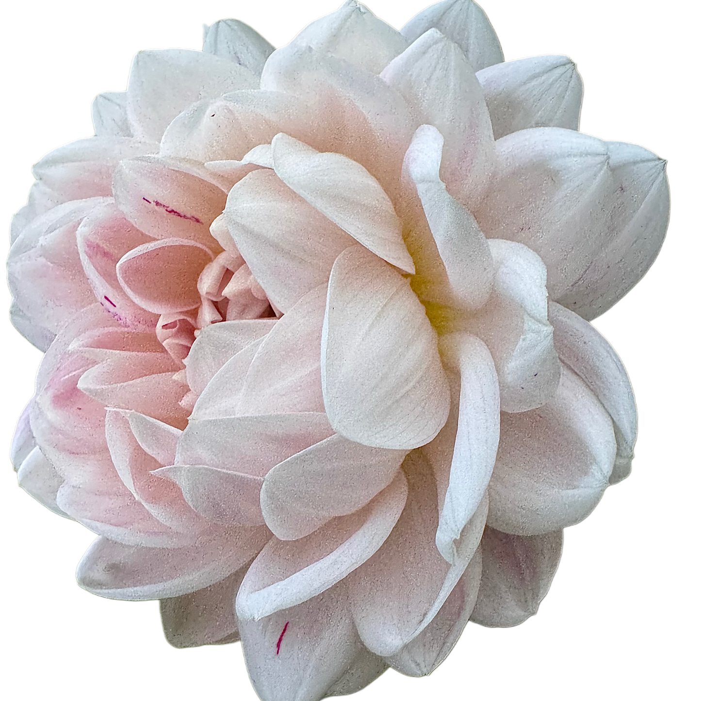 Kelgai Ann