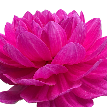 Sandia CanCan