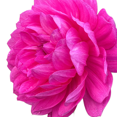 Sandia CanCan