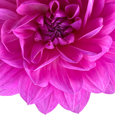 Sandia CanCan