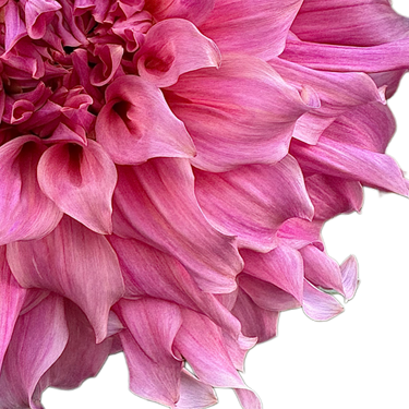 Sierra Glow