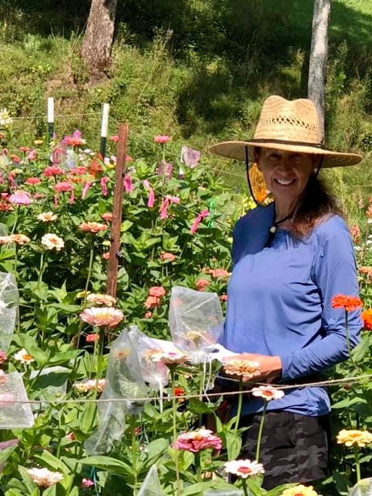 image in image with text